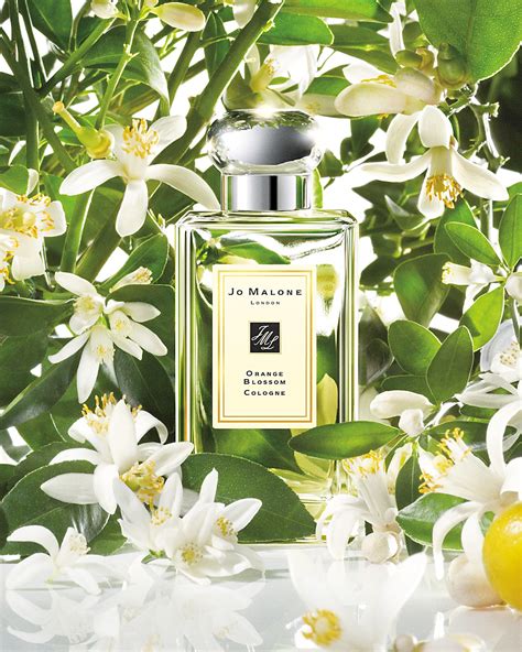 jo malone orange blossom fragrantica.